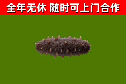 宜春烟酒回收干海参.jpg